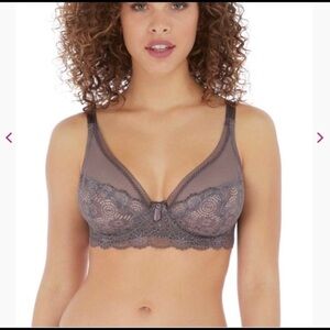 NWT FREYA shark expression lace bra size 30D